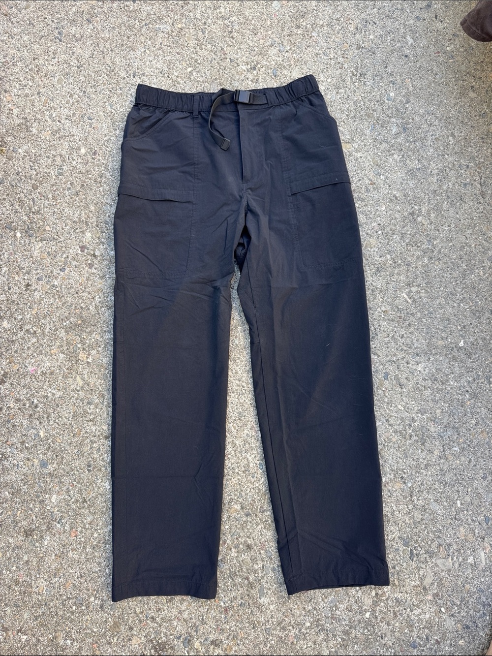 Uniqlo Geared Pants